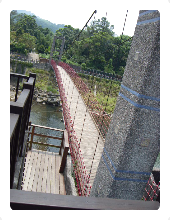 驚險刺激的坪林親水吊橋